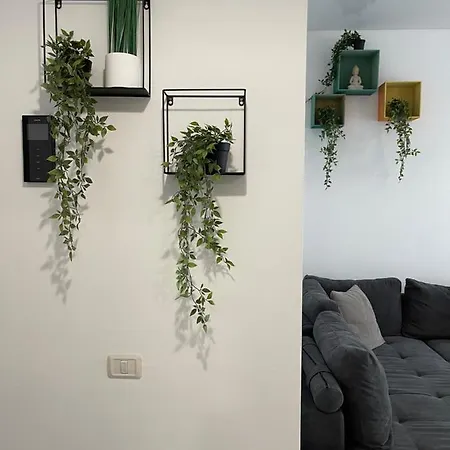 Kitesurf Apartament